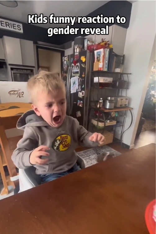 Kids’ reaction to gender reveal will never be not funny #baby #babylove #fyp #usa🇺🇸 #funnyvideo #funny #cute 