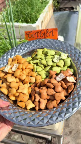 Bánh Gấu Nhân Kem#Thinhhanhtiktok#tintien7879#tiepthilienket#BanhGauNhanKem 