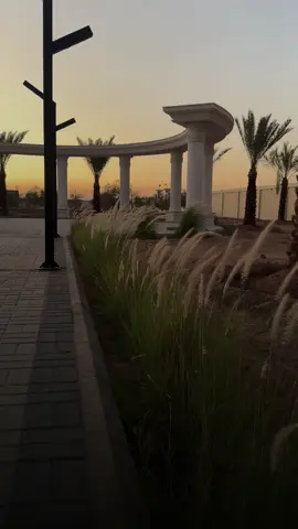 #تبوك#السعودية #تبوك_الان #الزراعة #اكسبلور 