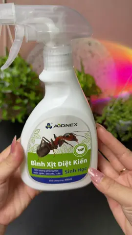 Bình xịt kiến gián sinh học ko màu,ko mùi an toàn dễ sử dụng#xitkien #binhxitcontrung #hoangnhung940 
