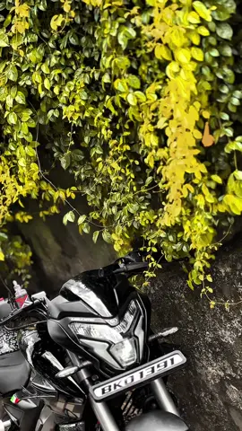 දැන්නම් reach හොදටම නෑ වගේ 🥺❤️‍🩹#ns200 #ns200lovers #ns200bs7 #viralaccount #newaccount 