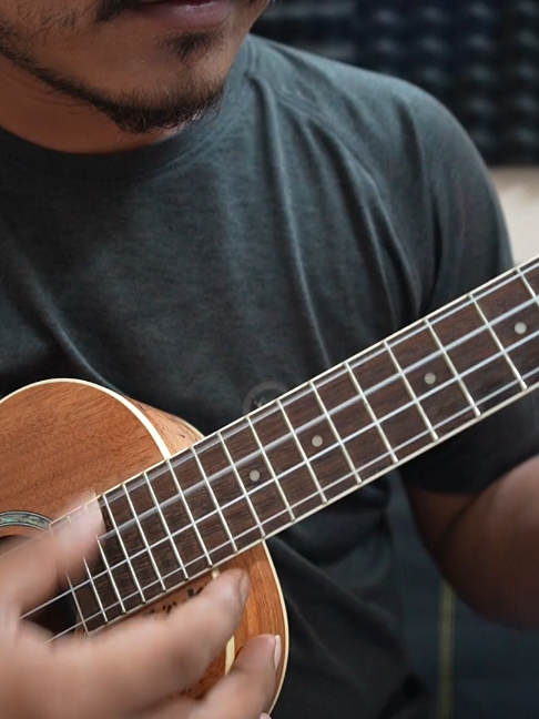 দিন গেলো তোমার পথও চাহিয়া - Habib Wahid | Ukulele Fingerstyle Instrumental #mrsamir #ukulele #covers #tutorials #HabibWahid #DinGeloTomar #UkuleleCover #UkuleleInstrumental #DADGTuning #DotaraTuning #BanglaUkulele