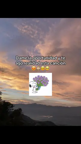 Dame la oportunidad 😩😍 #paratiii #amor❤️ #canciones #viralvideo #belleza 