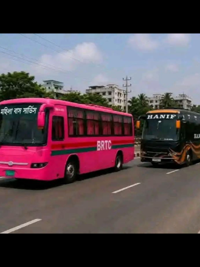 রাজা তো অনেক দেখছেন, এবার দেখুন পিংক কুইনদের রাজত্ব! 👑 গোলাপি বিআরটিসি বাসের পিছু নিয়েছে আমাদের চিরচেনা হানিফ ভাই। ব্যাপার টা কী বলুন তো—প্রেমে পড়লো নাকি পাল্লা দিচ্ছে? 😂🚌❤️ #PinkBus #HanifParibahan #WomenPower #Trending #BangladeshBus