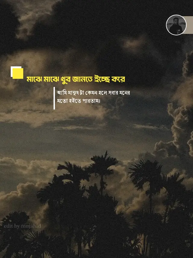 মাঝে মাঝে খুব জানতে ইচ্ছে করে আমি মানুষ টা কেমন হলে সবার মনের মতো হইতে পারতাম।