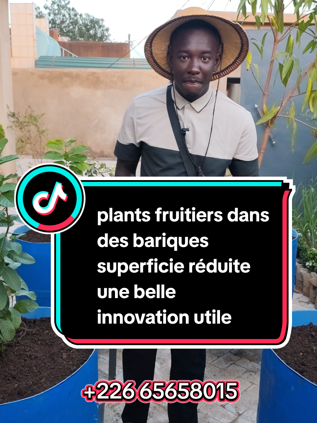 plants fruitiers a la maison dans un espace réduit #plantation #burkinatiktok🇧🇫 #maison 