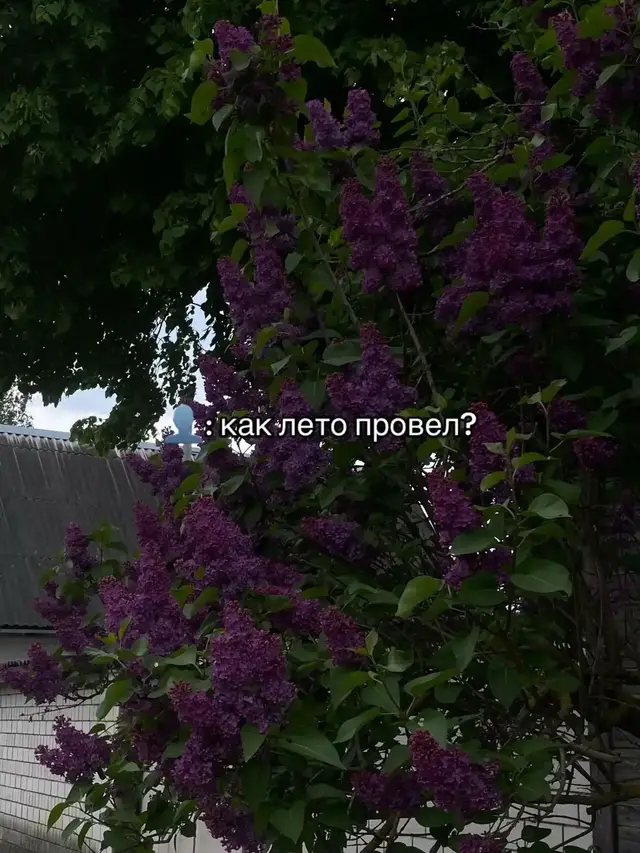 #лето #вайб #дота2 #помойка #viral #проебалилето 