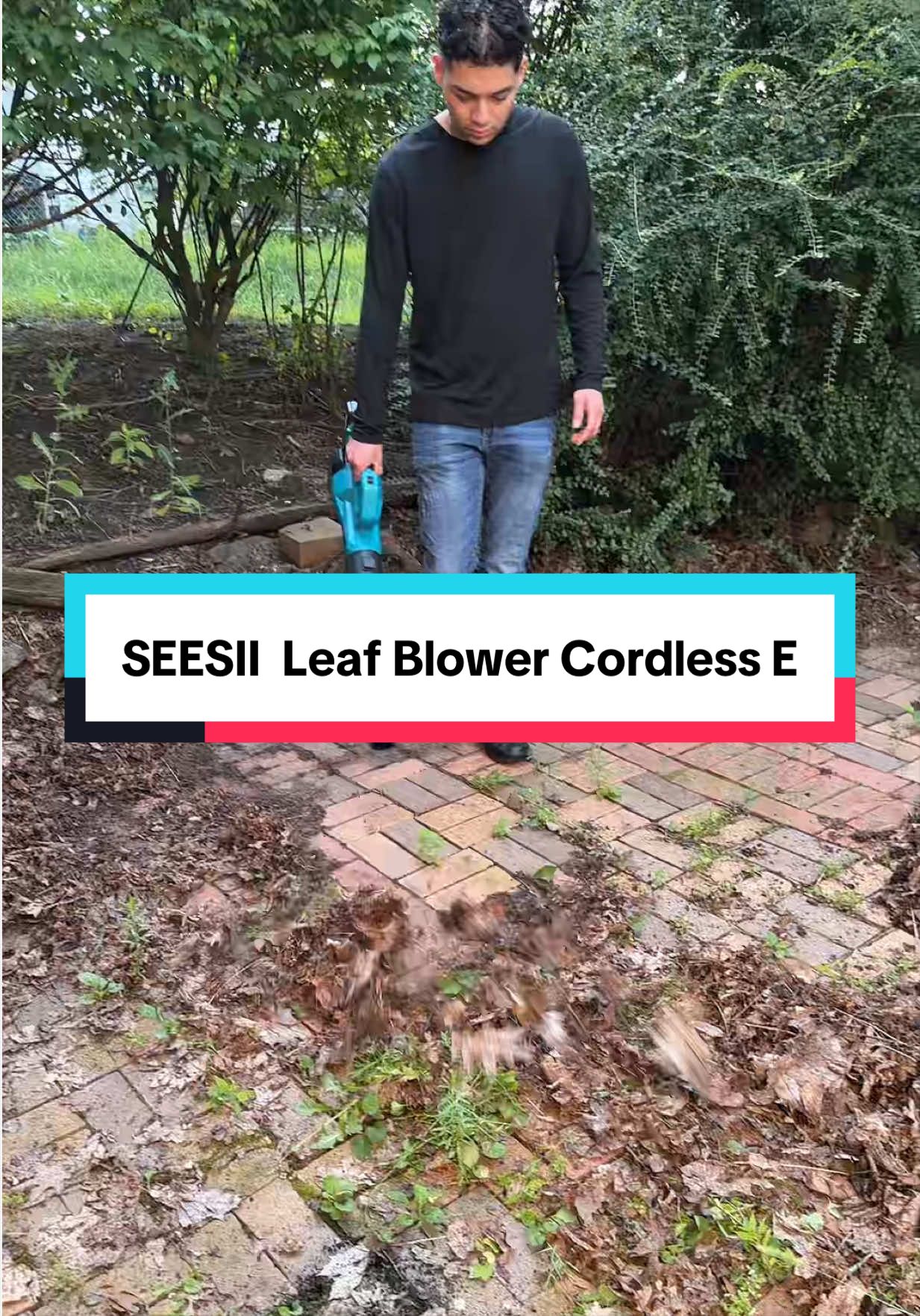 SEESII  Leaf Blower Cordless E