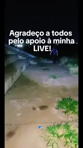 Minha gratidão por todos vocês não poderia ser maior! Juntos, podemos fazer desta jornada algo tão especial!