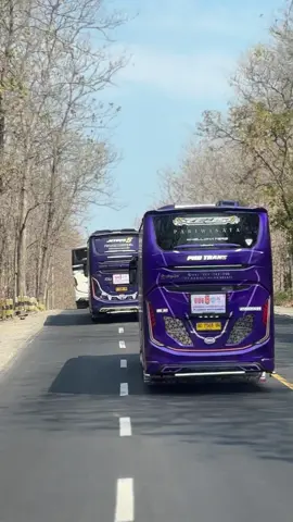 dalan e digawe dewe🙌 #phdtrans #navaratrip #purplegank #baluran #baluranraceway 