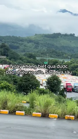 Lễ hội sầu riêng Kim Thành Lào Cai #kimthanhlaocai #cuakhaukimthanhlaocai #hoaquanhapkhau #saurieng 