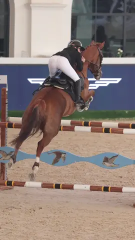 Miss international season #competition #fyp #explore #horse #equestrian love being shadow banned 