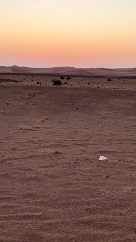 #النايف #الشعر 