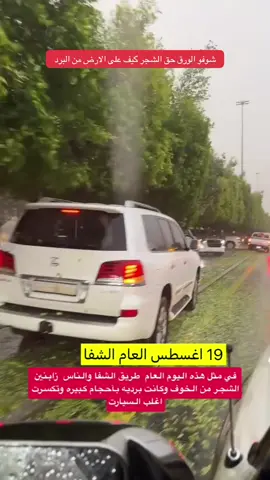 #الطائف #الشفا #مكه #عسير #اكسبلورexplore 