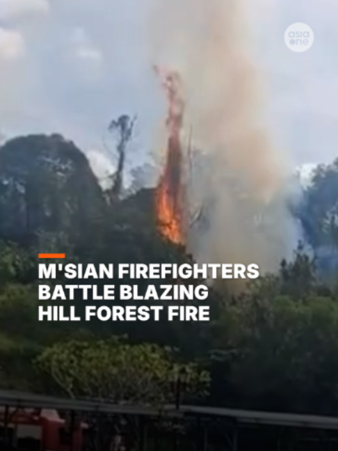 Firefighters used fire beaters and a vehicle-mounted water pump to extinguish the blaze, which broke out on Monday (Aug 17) near a mosque in the Malaysian city of Shah Alam. #Malaysia #MalaysiaNews #Firefighters #Fire #Safety