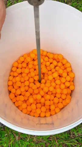xay nát chessball và trứng #quanasmr #fyp #asmr #xuhuong 