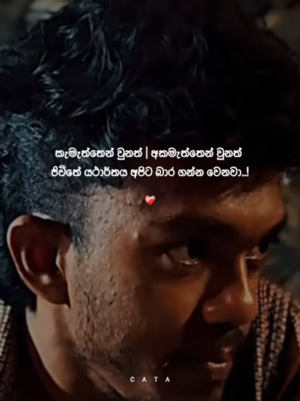 ජිවිතේ යථාර්තය අපිට බාර ගන්න වෙනවා ❤️‍🩹..!! #sinhala #sinhalastatusvideo #50millionviewsvideo #wadansinhala #bootwadan 