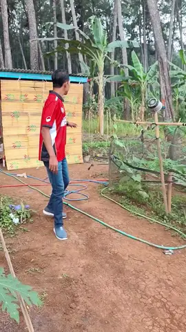 tirai bambu atau kerey bambu untuk menghalau panas dan tampyas hujan #tiraibambu  #kereybambu  #produkviral  #tiktokshoop 
