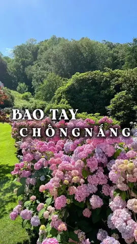 Mấy bà biết loại này chưa ta #embechamchi #baotaychongnang 
