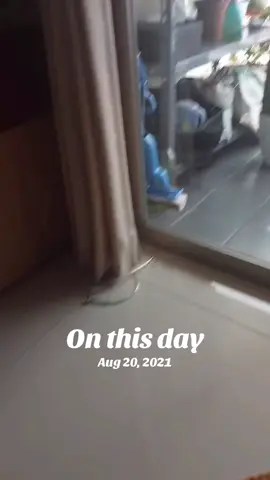 #onthisday 