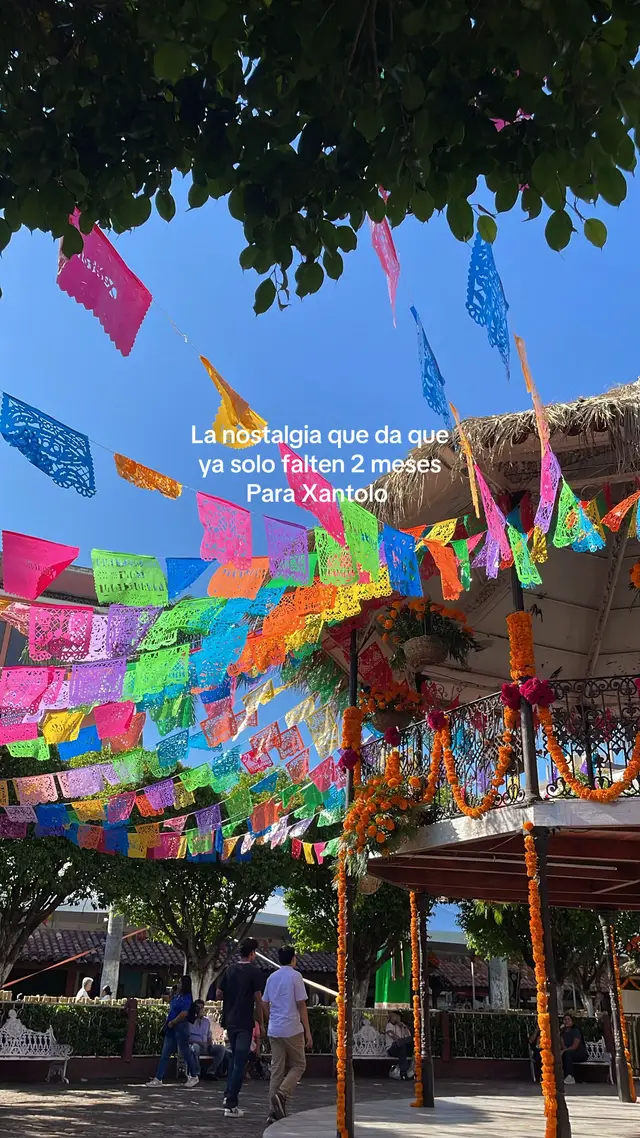 #diademuertos #xantolo #xantoloenlahuasteca #viral #coco 