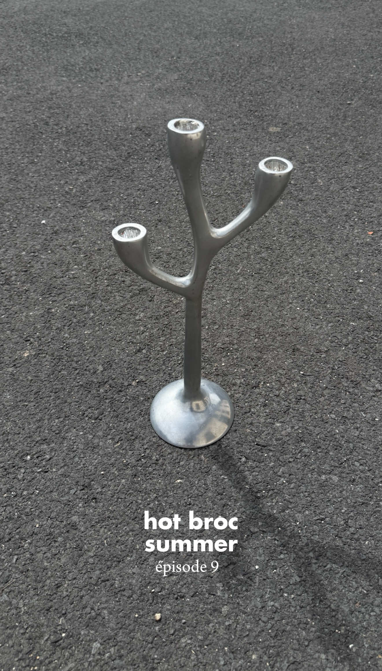 foutue mouche… pour cet avant-dernier épisode des vlogs d’août Hot Broc Summer !  #brocante #vintage #thrifting #midcentury #videgrenier 