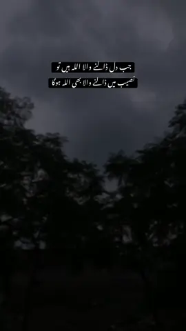 نصیب میں ڈالنے والا بھی اللہ ہوگا  #shehzadi #Explore #Viral #poetry #DeepWords 