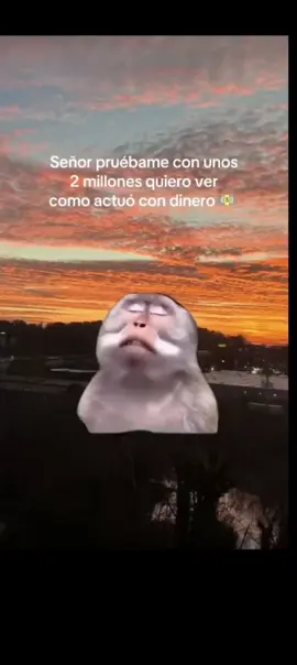 #videoviralitiktok 