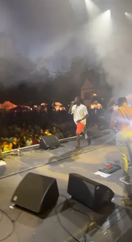 Idk what’s wrong with my facials expression always 🤣🤣🤣 #stonebwoy #hero #ghana #emmendingen #1gad 