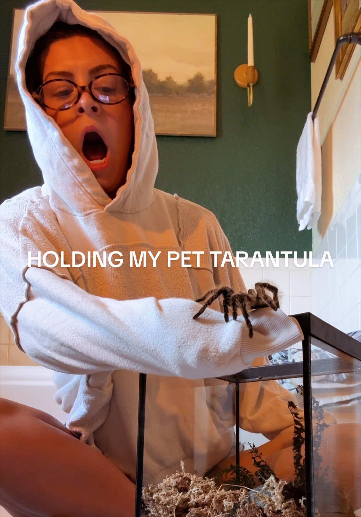Uhummmm yeah that was terrifying but I want to do it again😂 #jumpscare #tarantula #pettarantula #spider 