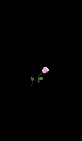 #CapCut                                   #buenasnoches🌎.                  #frasesbonitas💗 #fypシ゚viral🖤tiktok 