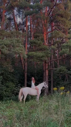 #лес #лошади #рек #эстетика #horsesoftiktok 