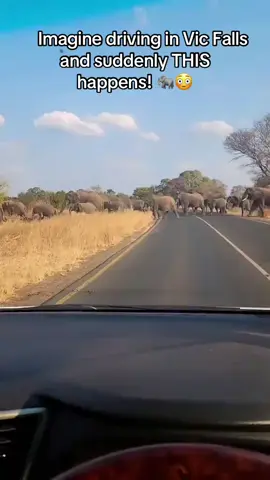 My holiday in Vic Falls. #vlog_with_tesin