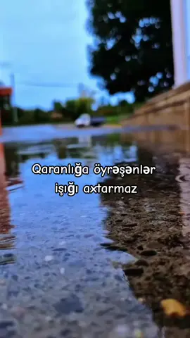 #keşfetttt 