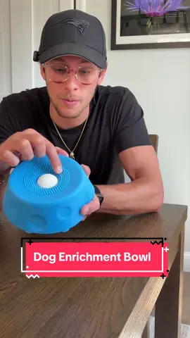 The different levels of dog enrichment 🐶👅 #dogparents #dogessentials #tiktokshopcreatorpicks #petlovers #dogenrichment 