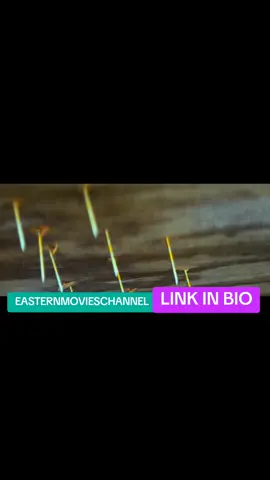 #creatorsearchinsights #easternmovieschannel #ugandanstiktok #werewolves