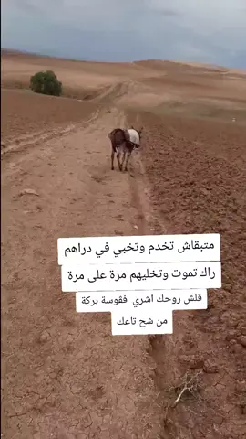 #الشعب_الصيني_ماله_حل😂😂 #المغرب🇲🇦تونس🇹🇳الجزائر🇩🇿 #متابعين #CapCut #متابعين 