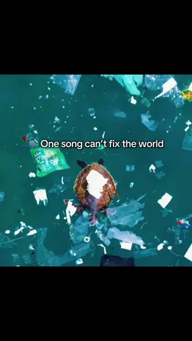 This song can fix the world and the whole earth #nature #lowcortisol 