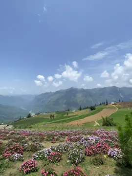 săn mây kh thành công:))#23hagiang #suoithau #fyp 