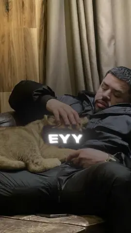 #fyp#virale#noizy 