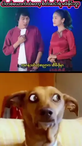 #foryou #funny #fy #myanmartiktok🇲🇲🇲🇲 #fyppppppppppppppppppppppp 