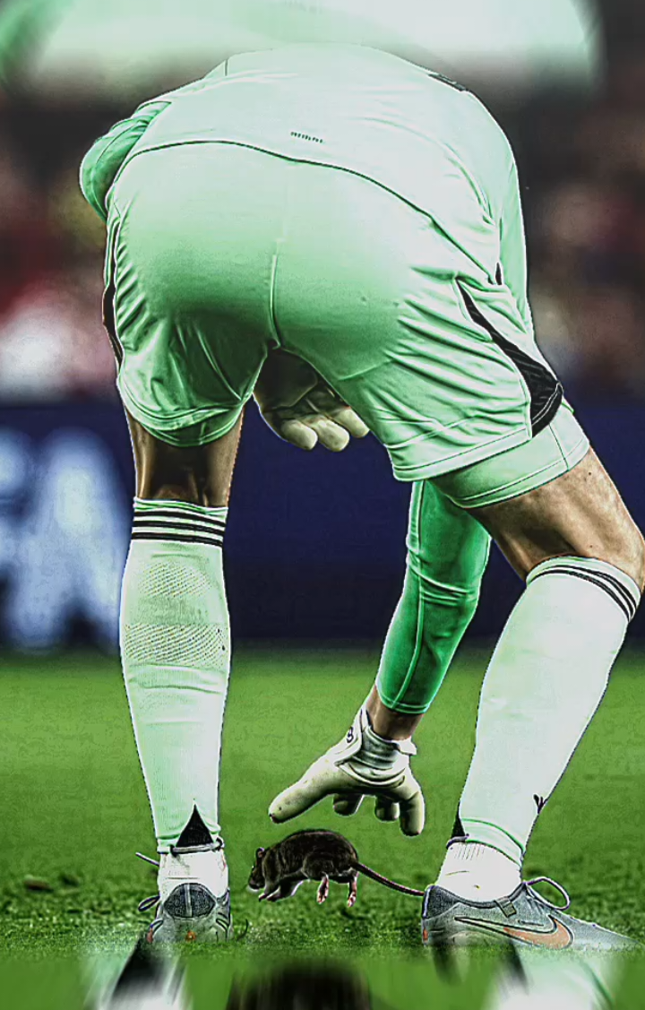 nangkapp bolaa gercep bagiann nangkapp tikus malah gak dapet , gak heran lagi sama kiper terbaik dunia😭🥶😹 #courtois #belgium🇧🇪 #realmadrid #footballtiktok #fypage 