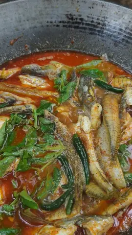 ဒေါ်ဒေါ်ပျောက်နေတာ  သတိမထားမိကြဘူးဟုတ်တယ်ဟုတ် နေမကောင်းလို့ videoမတင်နိုင်တာ နှစ်ရက်ရှိသွားပြီ  ကိုယ့်‌မိတ်ဆွေတွေကသာမသိတာ  tiktokကသိလို့ အခုvideoတင်လိုက်တာနဲ့ viewတွေချပစ်မှာ🥺 viewတွေအရမ်းမကျသွားအောင်  ကြည့်ရင်းနဲ့ shareလေးနှိပ်ပေးကြပါအုံးနော်  အားလုံးပဲ ကျန်းမာရေးဂရုစိုက်ကြပါ🥰#viraltiktok #foryou #villagecooking