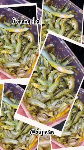 Goreng ikan pantau🌸#masakansimple #masakanminang #fyp 