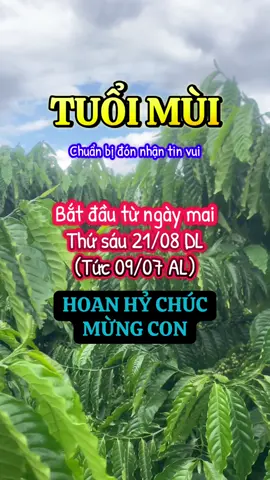Tuổi Mùi ngày mai #tuvi #tuvi12congiap #tuoimui #tanmui1991 #kymui1979 