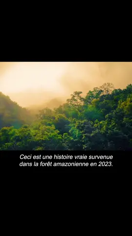Quatre enfants indigènes survivent dans la jungle amazonienne — un miracle vrai.#fly #tiltok #flim 
