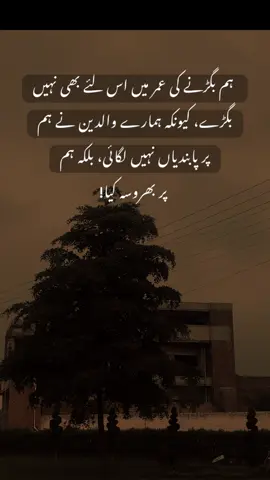 ہم بگڑنے کی عمر میں اس لئے بھی نہیں بگڑے کیونکہ ہمارے والدین نے ہم پر پابندیاں نہیں لگائی بلکہ ہم پر بھروسہ کیا!۔۔✅🌸@Aesthetic پختون💫✨ - - - - - #viewsproblem #hehe #pleaseunfrezzemyaccount🥺💔🥀 #fyyyyyyyyyyyyyyyyyyyyyy #viralvideotiktok 