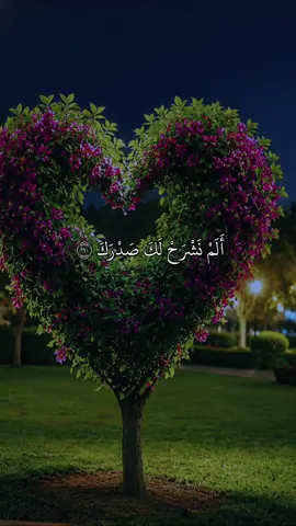 أَلَمْ نَشْرَحْ لَكَ صَدْرَكَ وَوَضَعْنَا عَنكَ وِزْرَكَ 🎧🤍 Surah Ash-Sharh #قرآن #quran  #اللهم_صلي_على_نبينا_محمد #Allah #قرآن_کریم #chahr_255 #islamic_video #growmyaccount #fyp #foryou #quran_n 