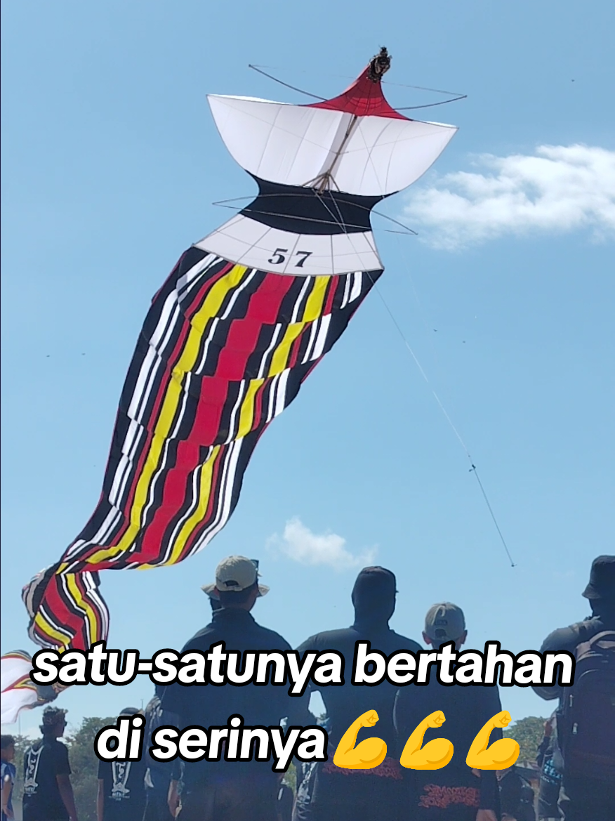 Satu-satunya layangan jangan yang bertahan di seri dewasa di event MEL TANJUNG Kite Festival 2026 #lombalayangan #meltanjung #kitefestival2026 #iwanjanuar87 #buduhuliandemen 