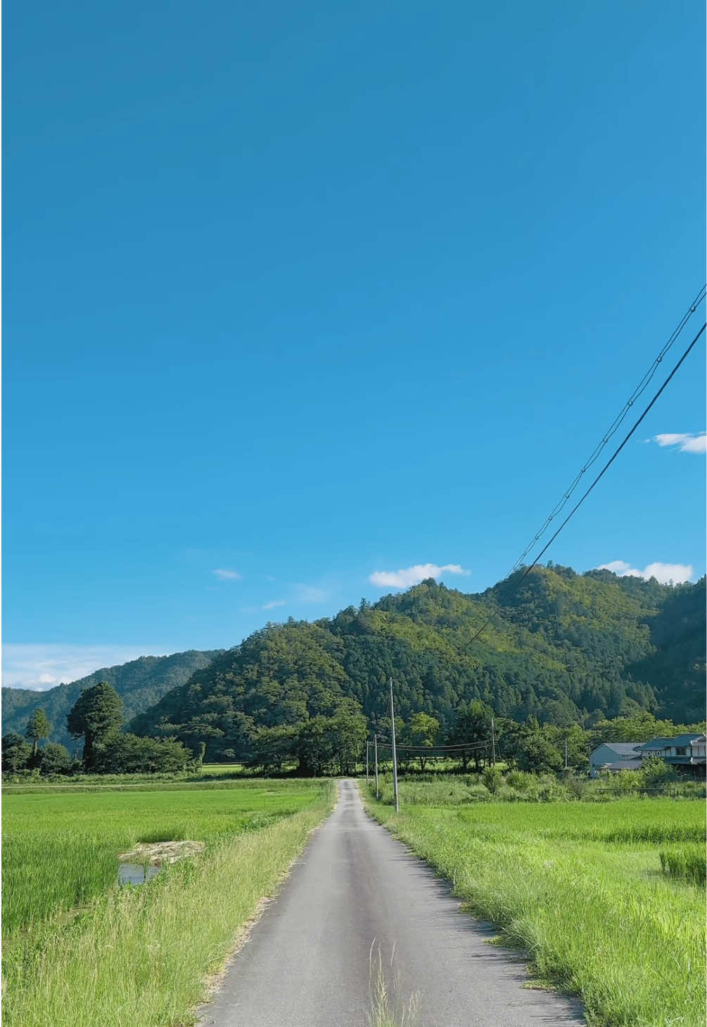 ほんと、日本の夏って最高 #夏  #日本  #日本の絶景  #田舎の風景  #おすすめ 